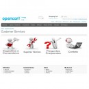 Customer Service Page